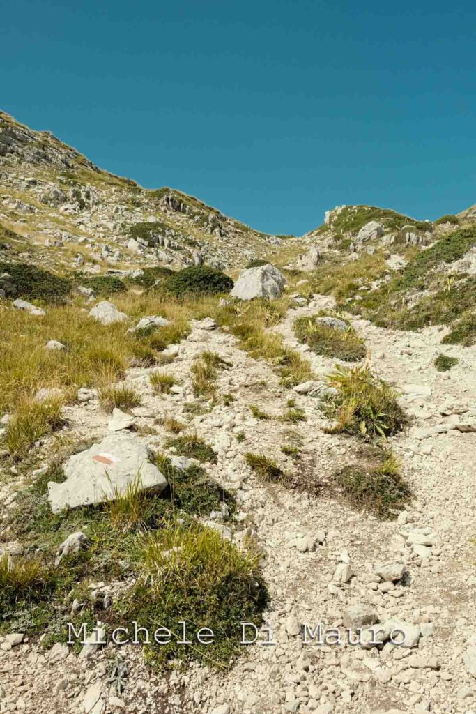 Sentiero CAI Piani di Pezza - Rifugio Sebastiani Foto: Michele Di Mauro