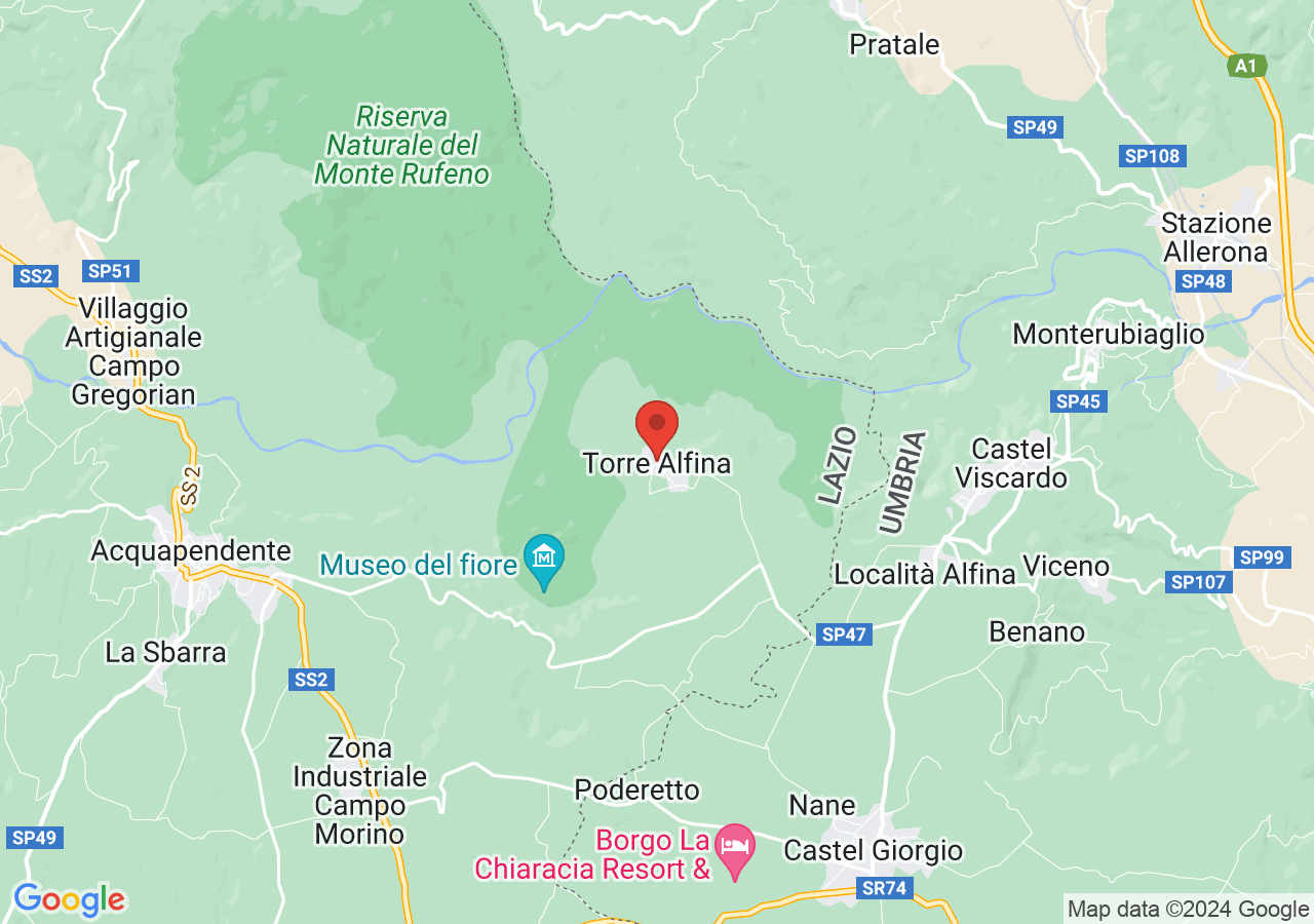 Mappa di Bosco di Biancaneve