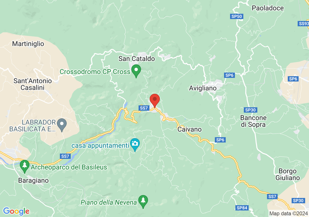 Mappa di Bosco Abetina di Ruoti