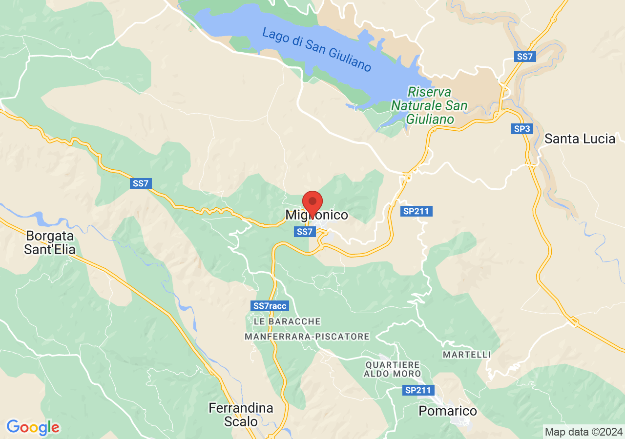 Mappa di Rievocazione storica della Congiura dei Baroni