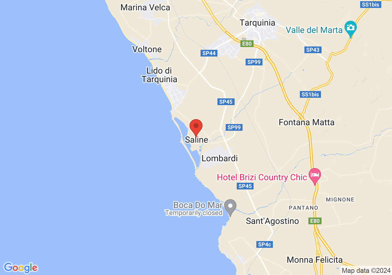 Mappa di Riserva naturale statale Saline di Tarquinia