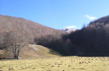 Campitello di Roccamandolfi