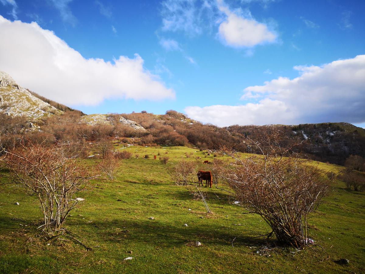 Monte Volturino Basilicata Marsicovetere