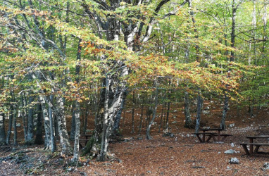 Valle di Mezzo e sentieri CAI monti delle Mainarde